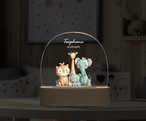 Custom  Cute animal DIY personalized ornament Night Light