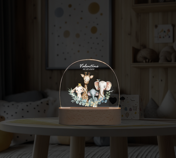 Custom 3D night light Cute animal personalized ornament Night Light