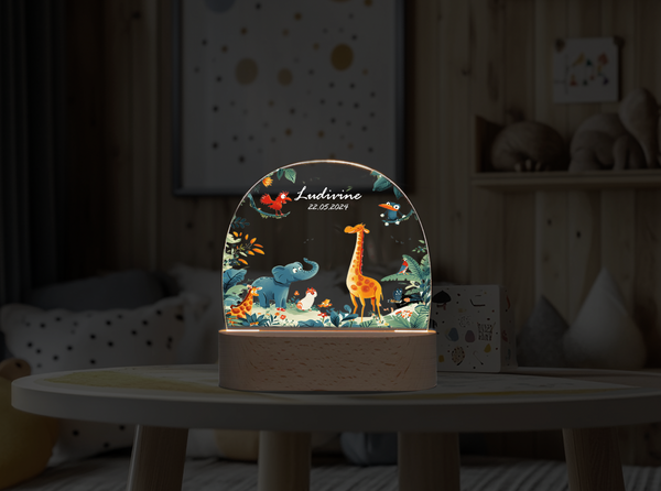 Custom 3D night light, Cute animal DIY personalized ornament Night Light