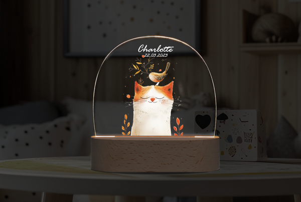 Custom  Cute cat Night DIY personalized ornament Night Light