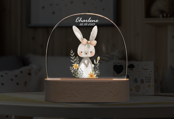 Custom  Cute Rabbit Night DIY personalized ornament Night Light