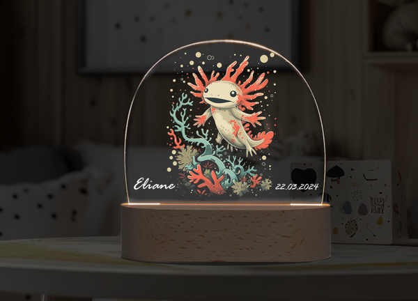 Custom  Axolotl world Night DIY personalized ornament Night Light